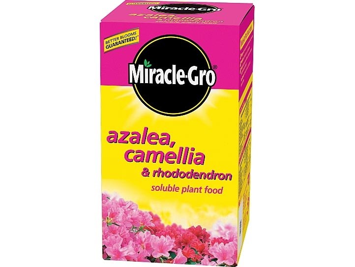 MIRACLE GRO AZALEA CAMELLIA AND RHODODENDRON PLANT FOOD 500G