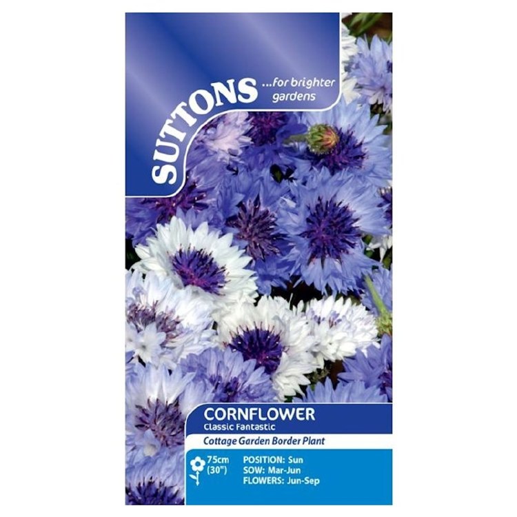SUTTONS CORNFLOWER CLASSIC TANTASTIC