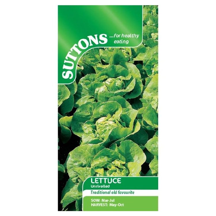 SUTTONS LETTUCE UNRIVALLED