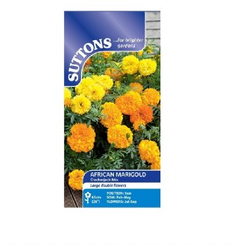 SUTTONS AFRICAN MARIGOLD