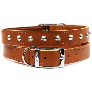 ANCOL SPIKED LEATHER COLLAR SIZE 7