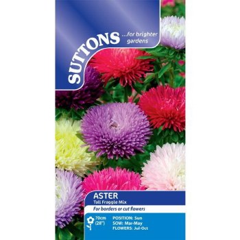 SUTTONS ASTER TALL FRAGGLE MIX