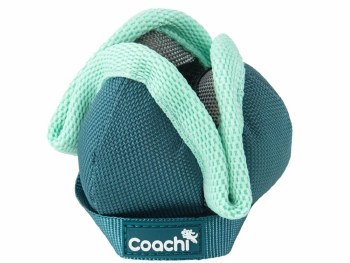 COACHI PUP & MINI CHASE/TREAT - TEAL MINT