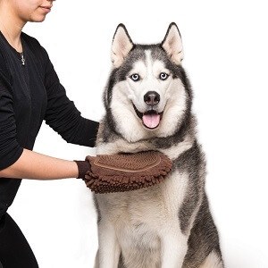 DOG GONE SMART DIRTY DOG GROOMING MITT - BROWN