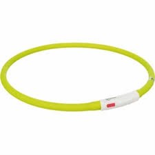 FLASHLIGHT COLLAR - GREEN