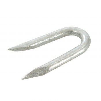 GALVANISED STAPLES 20MM 75G