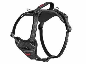 HALTI ANATOMY HARNESS GREY LARGE