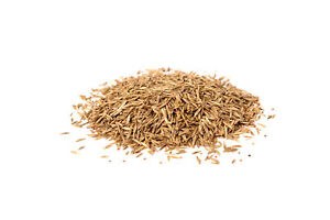 FAMILY LAWN SEED 1KG