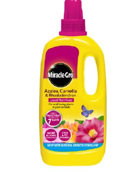 MIRACLE-GRO AZALEA,CAMELLIA & RHODODENDRON LIQUID PLANT FOOD 1 LITRE