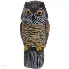 OWL BIRD PLASTIC BOBBLE HEAD 34CM
