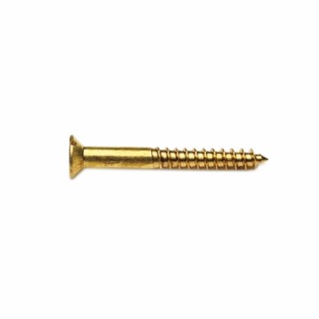 PREMIER 15 PCE 10 X 1" CSK SLOTTED SCREW BRASS BLISTER