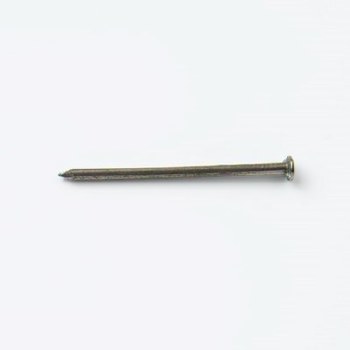 PREMIER 100 GRM BLISTER 100 MM (4") ROUND WIRE NAILS