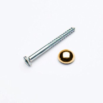 PREMIER 2 PCE 8 X 3/4" MIRROR SCREWS BRASS PLATED BLISTER