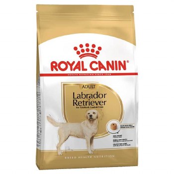 ROYAL CANIN LABRADOR RETRIEVER 12KG