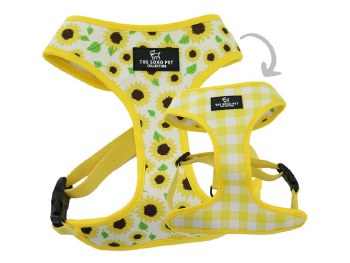 SOHO REVERS HARNESS SUNFLOWER YELLOW S