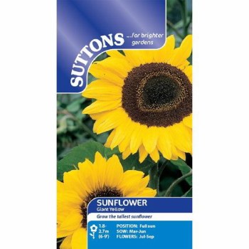 SUTTONS SUNFLOWER GIANT YELLOW