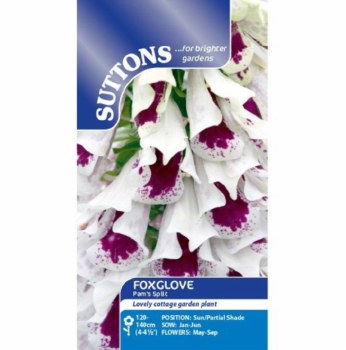 SUTTONS FOXGLOVE PAMS SPLIT