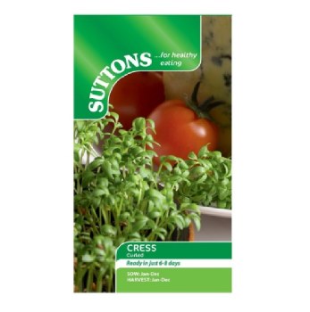 SUTTONS CRESS CURLED