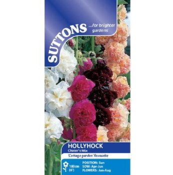 SUTTONS HOLLYHOCK CHATERS MIX