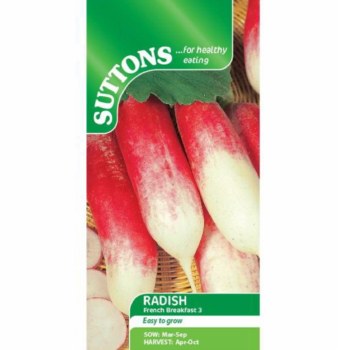 SUTTONS RADISH FRENCH BREAKFAST 3