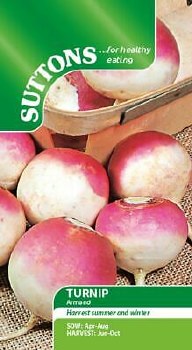 SUTTONS TURNIP ARMAND