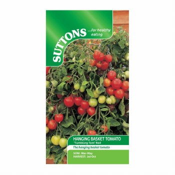 TOMATO TUMBLING TOM RED (HANGING BASKET)