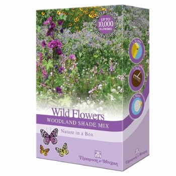 THOMPSON AND MORGAN WILD FLOWERS - WOODLAND SHADE MIX