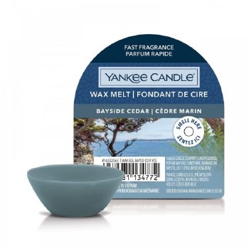 YANKEE CANDLE BAYSIDE SINGLE WAX MELT