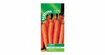 SUTTONS CARROT EARLY NANTES 5