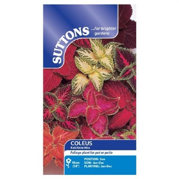 SUTTONS COLEUS RAINBOW MIX