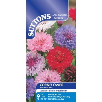 SUTTONS CORNFLOWER POLKA DOT MIX