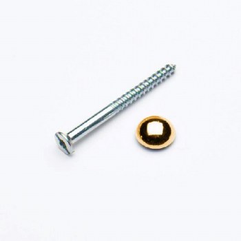PREMIER 8X1 1/4" MIRROR SCREWS BRASS PLATED BLISTER