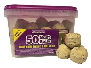 SUET BALLS INSECT TUB 50PACK