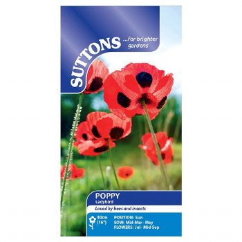 SUTTONS POPPY LADYBIRD