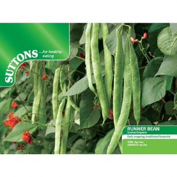 SUTTONS RUNNER BEAN SCARLET EMPEROR