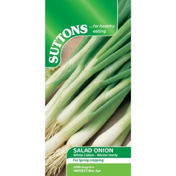 SUTTONS SPRING ONION WHITE LISBON