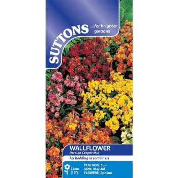 SUTTONS WALLFLOWER PERSIAN MIX