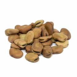 Fava Beans, Organic