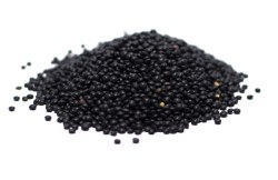 Organic Black Lentils