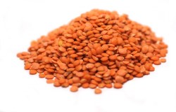 Lentils, Red, Organic