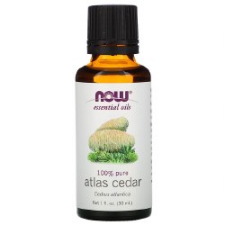 Atlas Cedar Essential Oil