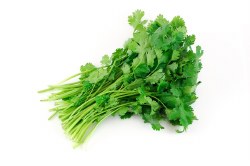 Cilantro, Local