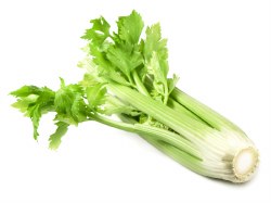 Celery, Organic