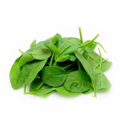 Baby Spinach, Organic