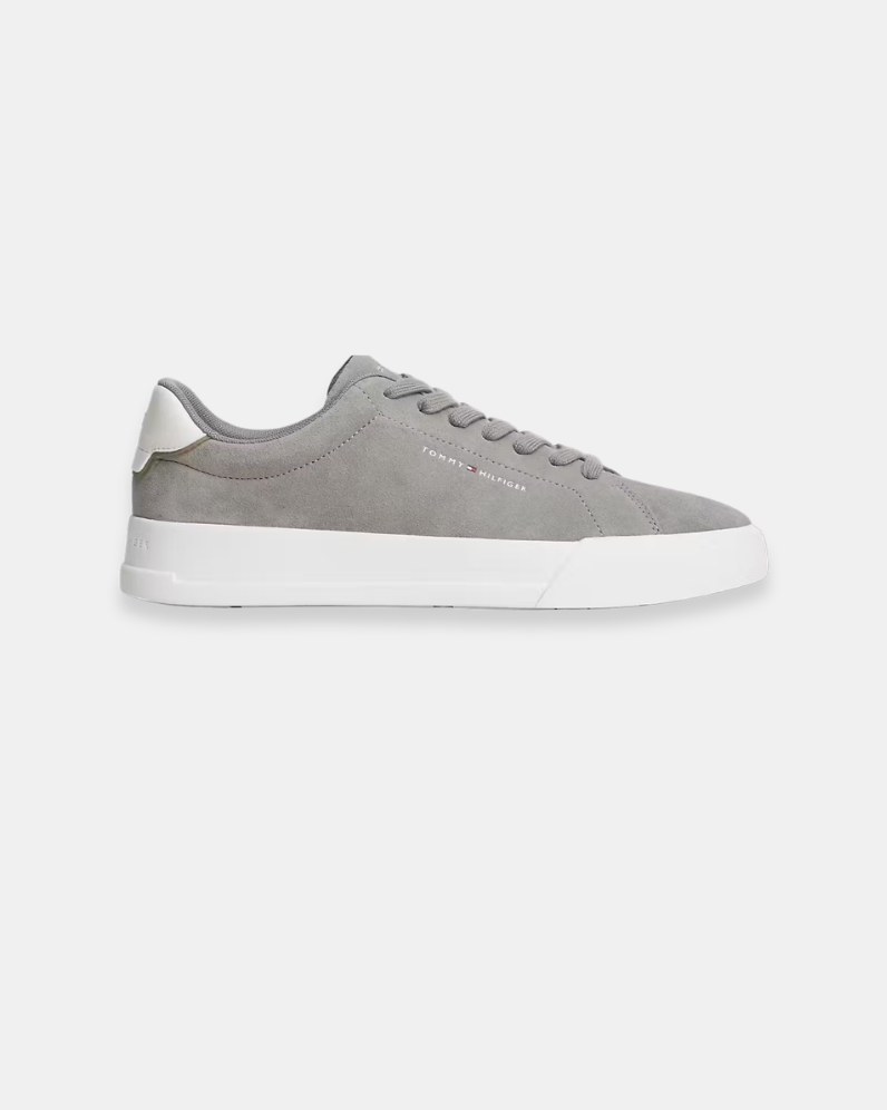 Court Suede Shoe