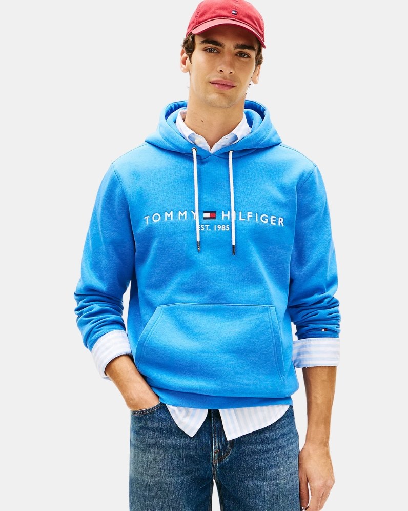 Logo Hood