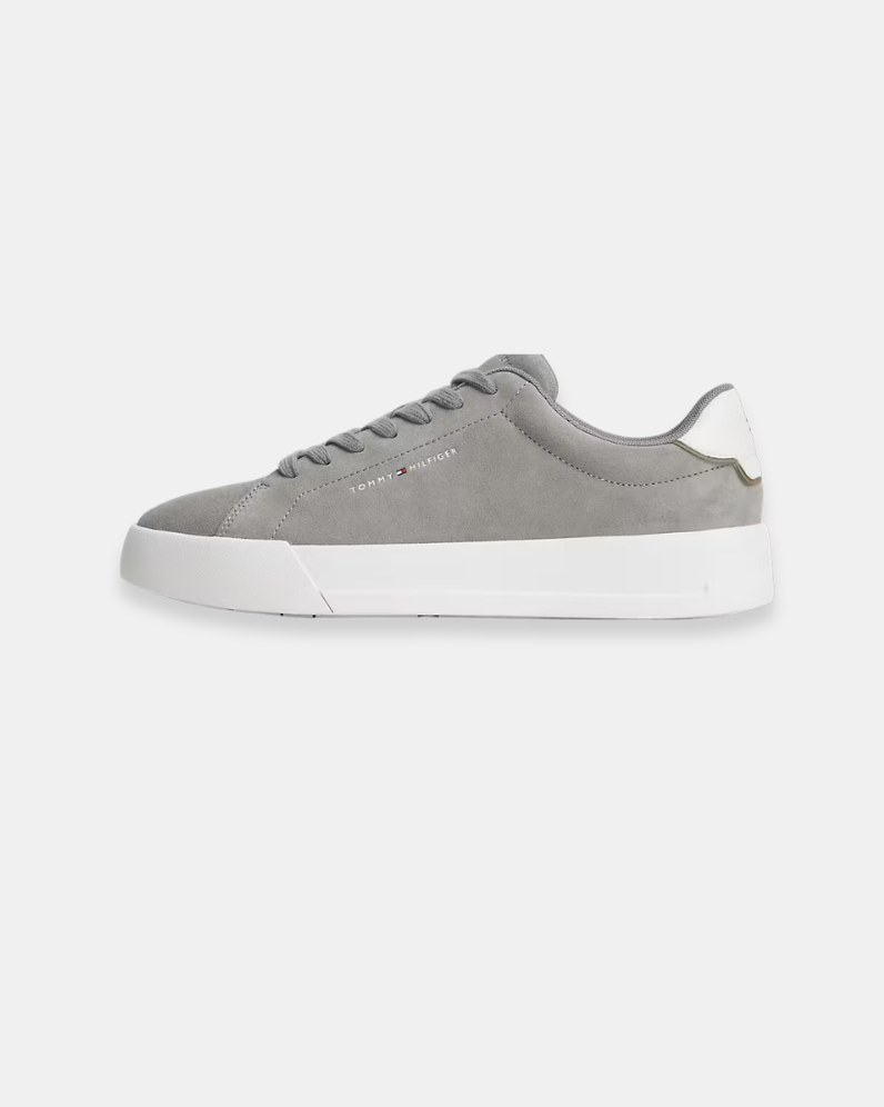 Court Suede Shoe