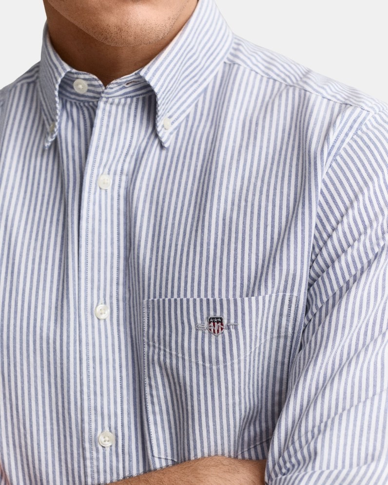 Stripe Oxford Shirt
