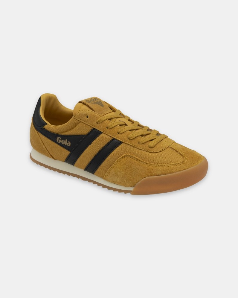 M' Europa Trainer