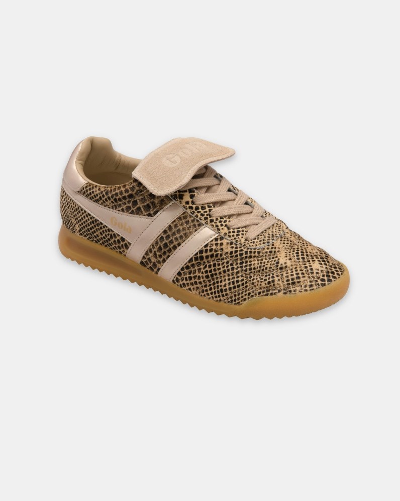 W' Stadium 86' Sahara Trainer